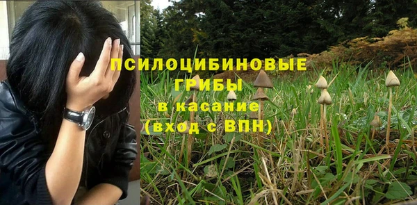молекула духа Балабаново