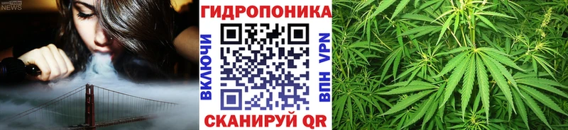 Шишки марихуана OG Kush  blacksprut вход  Новый Оскол 